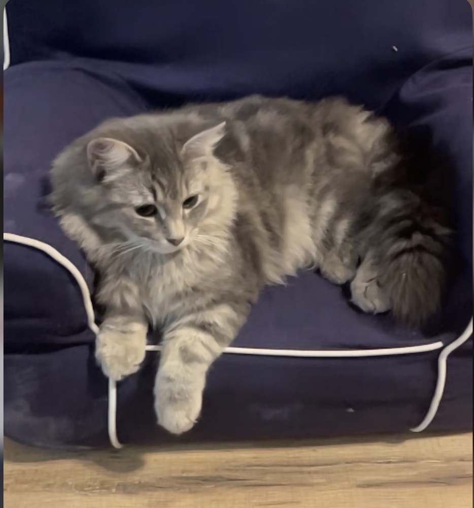 Fluff