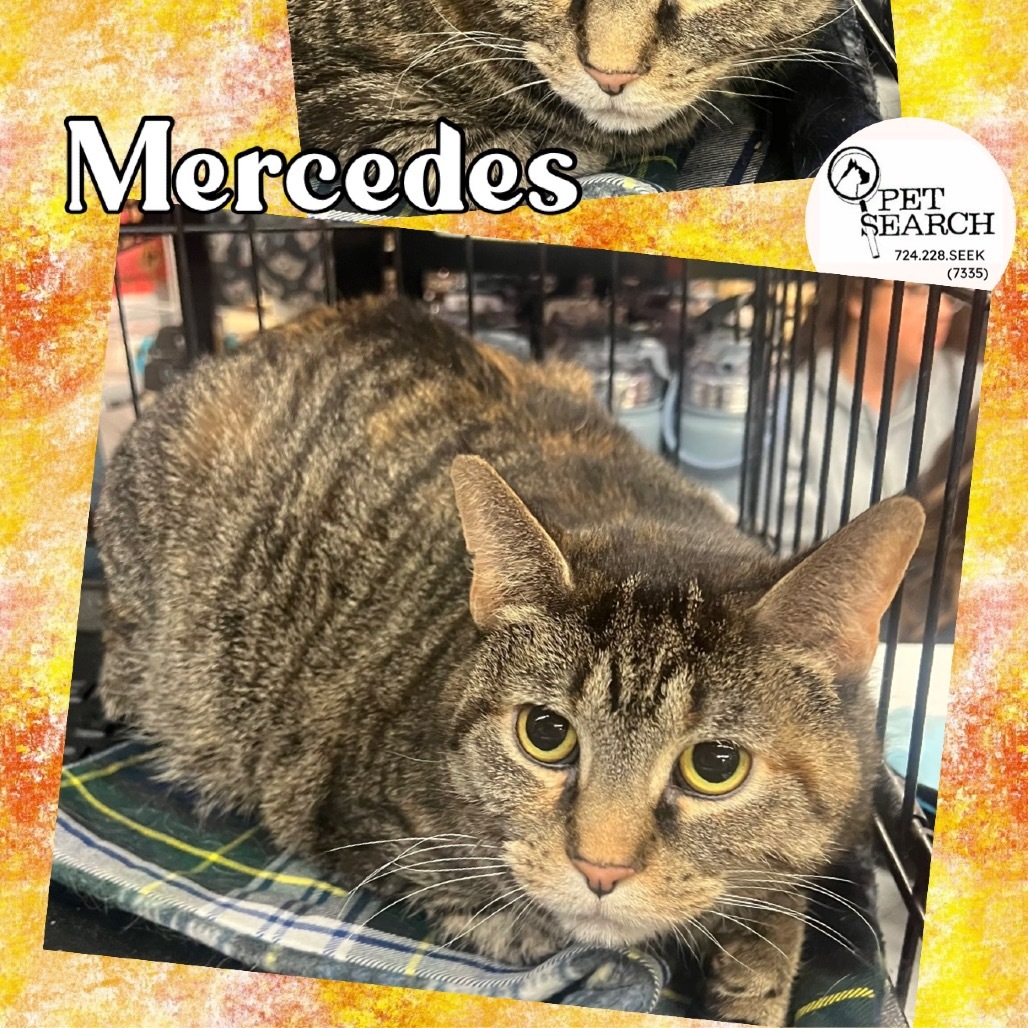 Mercedes