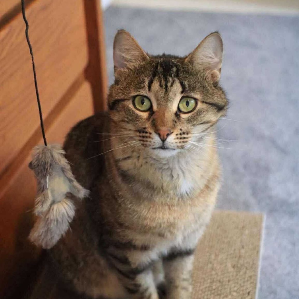 Benny
