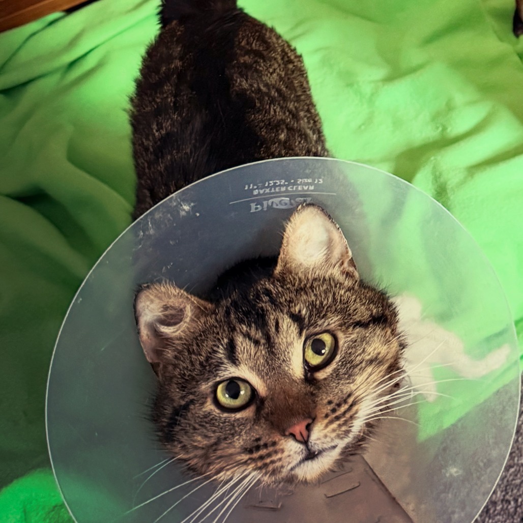 Benny