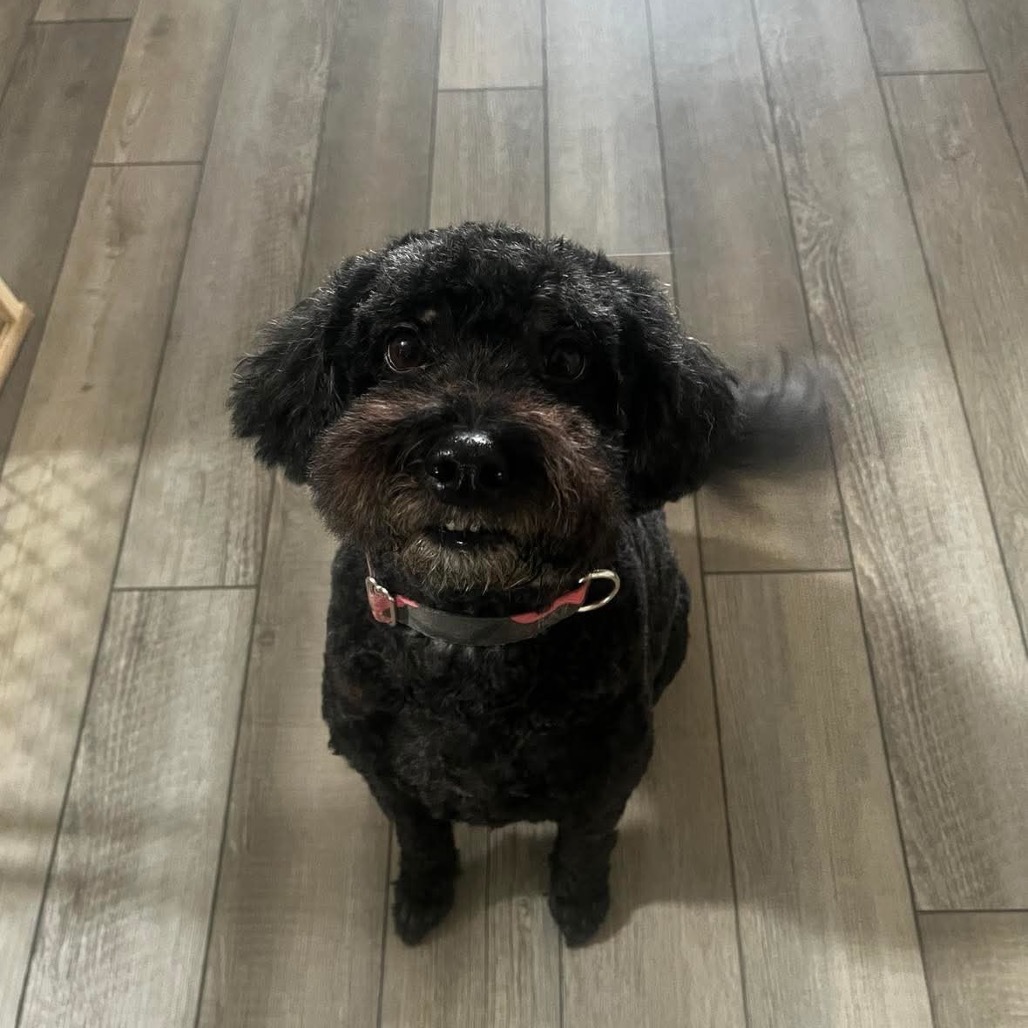 Thelma (bonded to Louise)