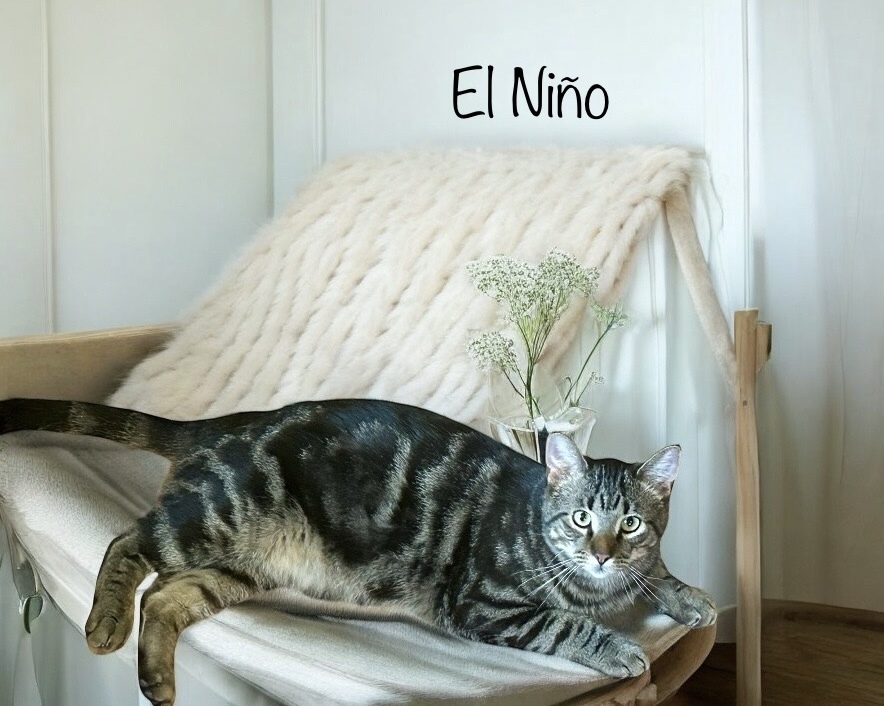 El Nino