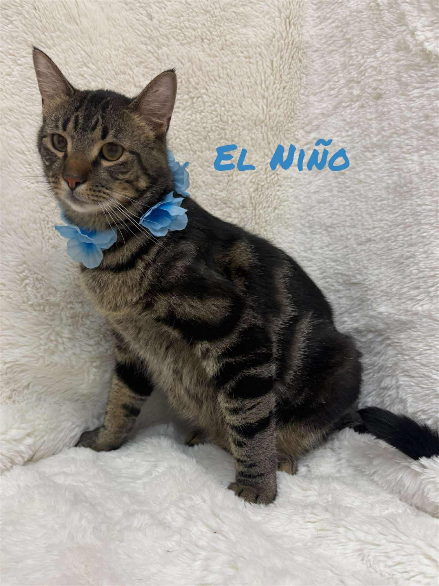 El Nino