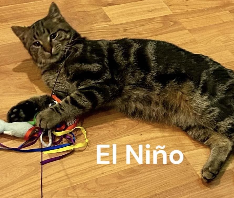 El Nino
