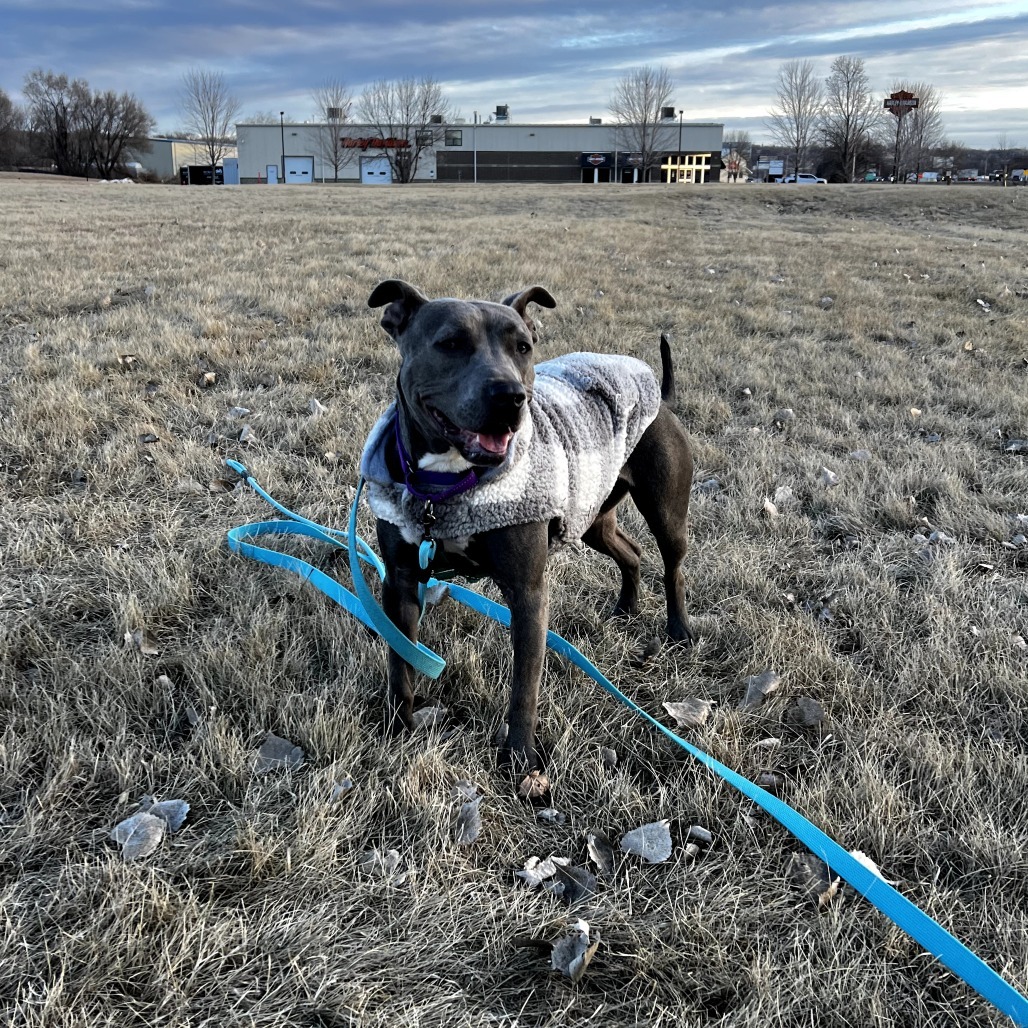 Delta