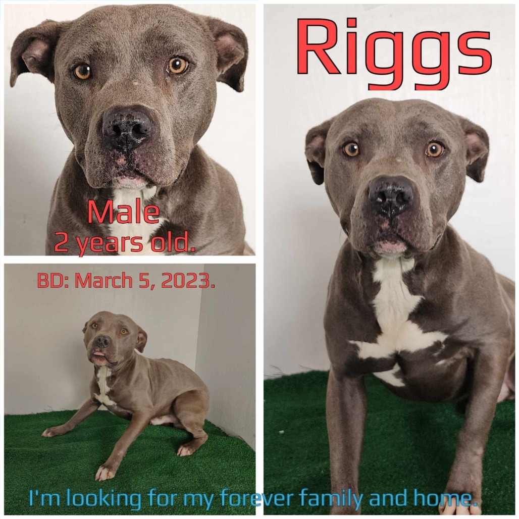 Riggs