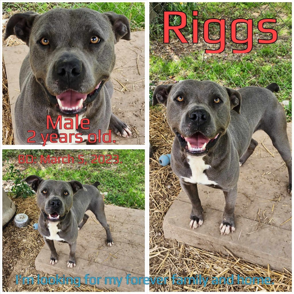 Riggs