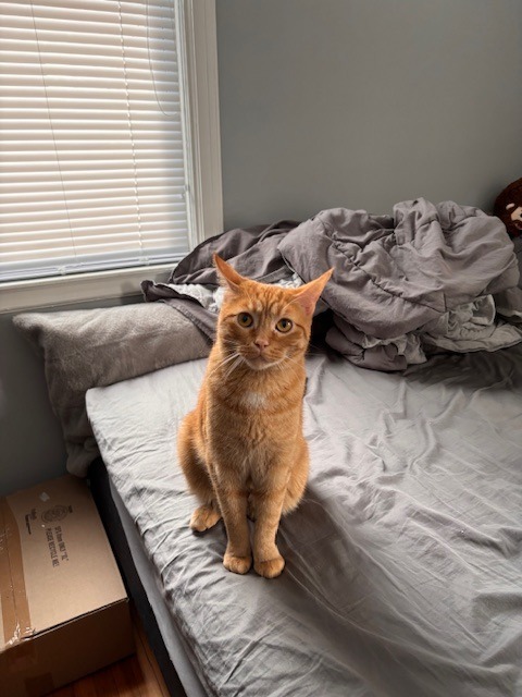 Peachy (Special Needs)