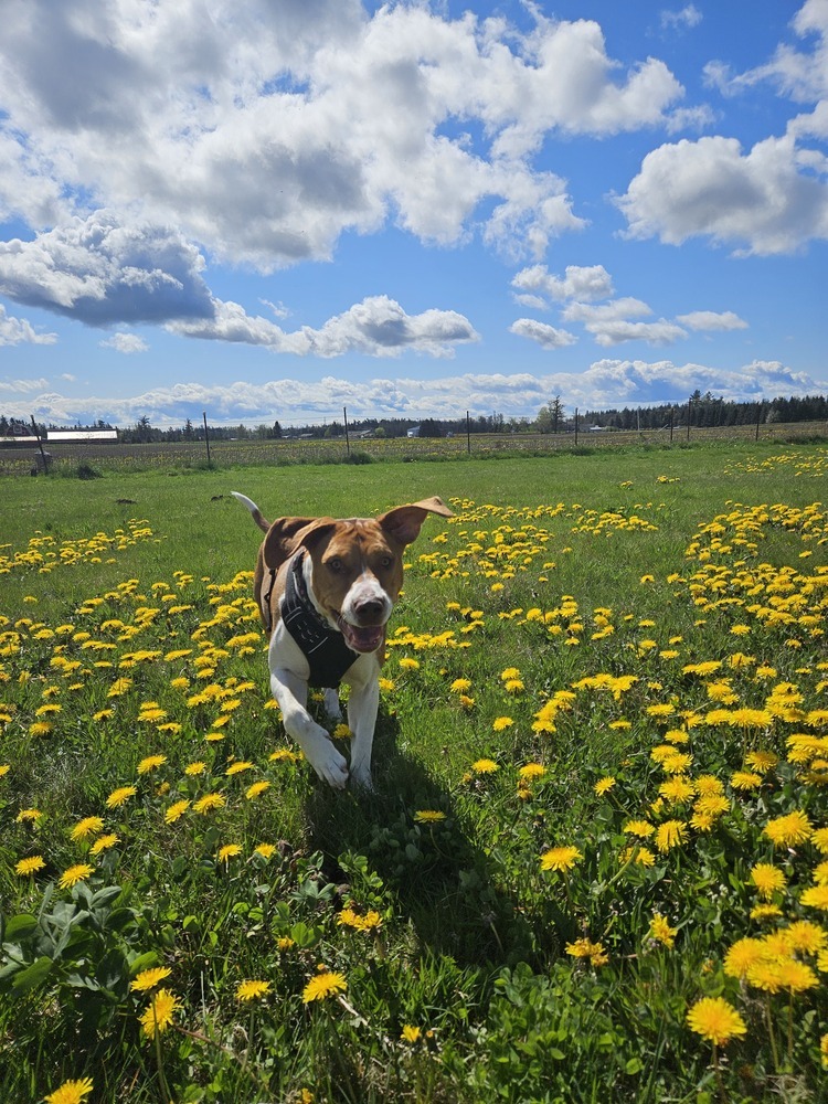 Chloe