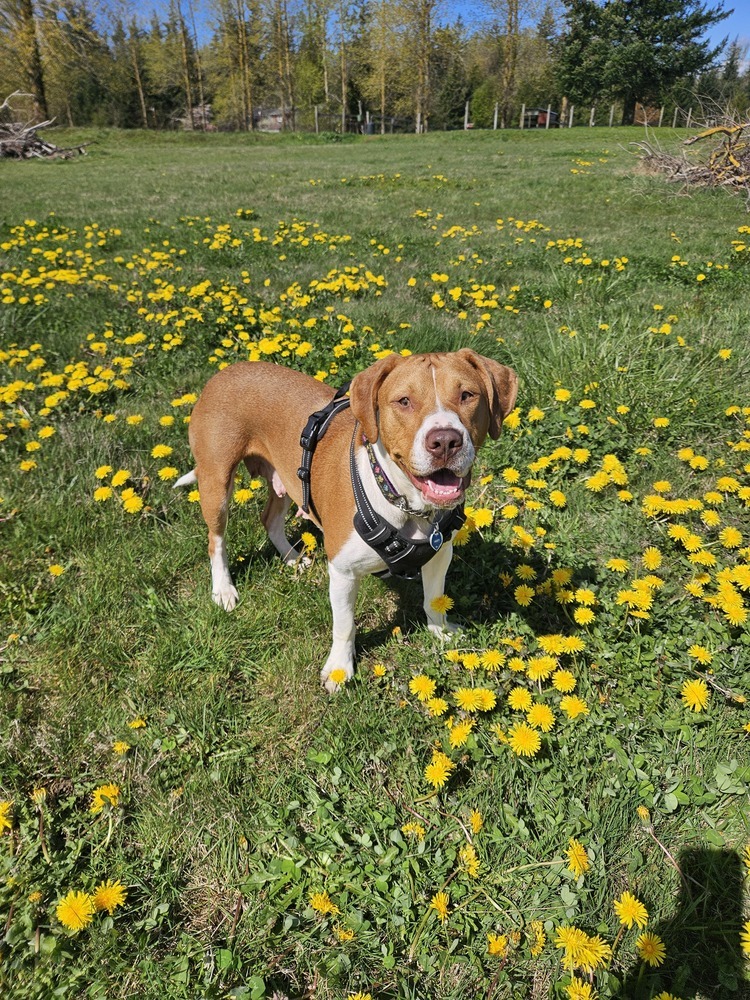 Chloe