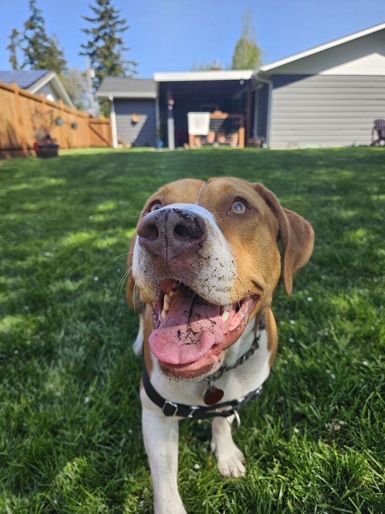 Chloe