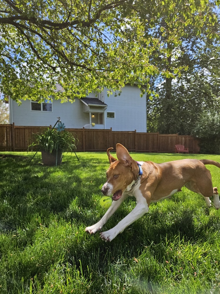 Chloe