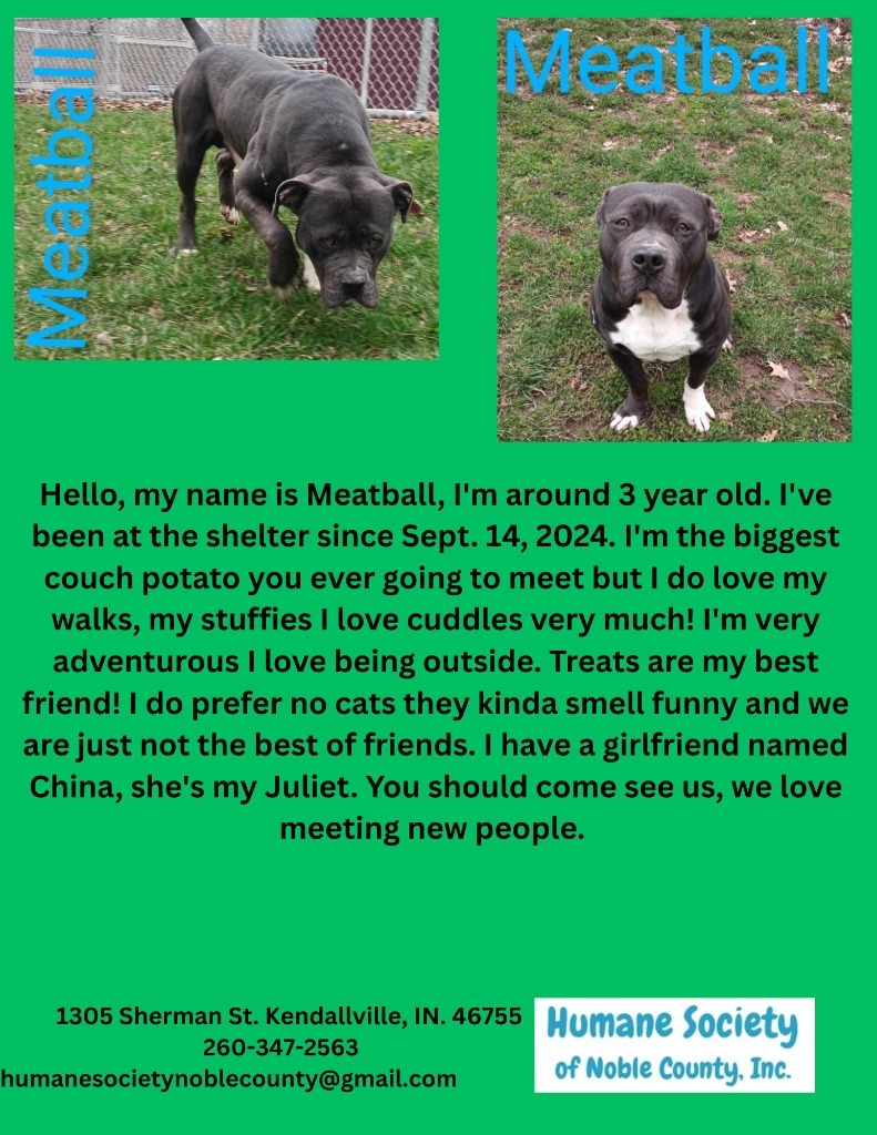 Meatball