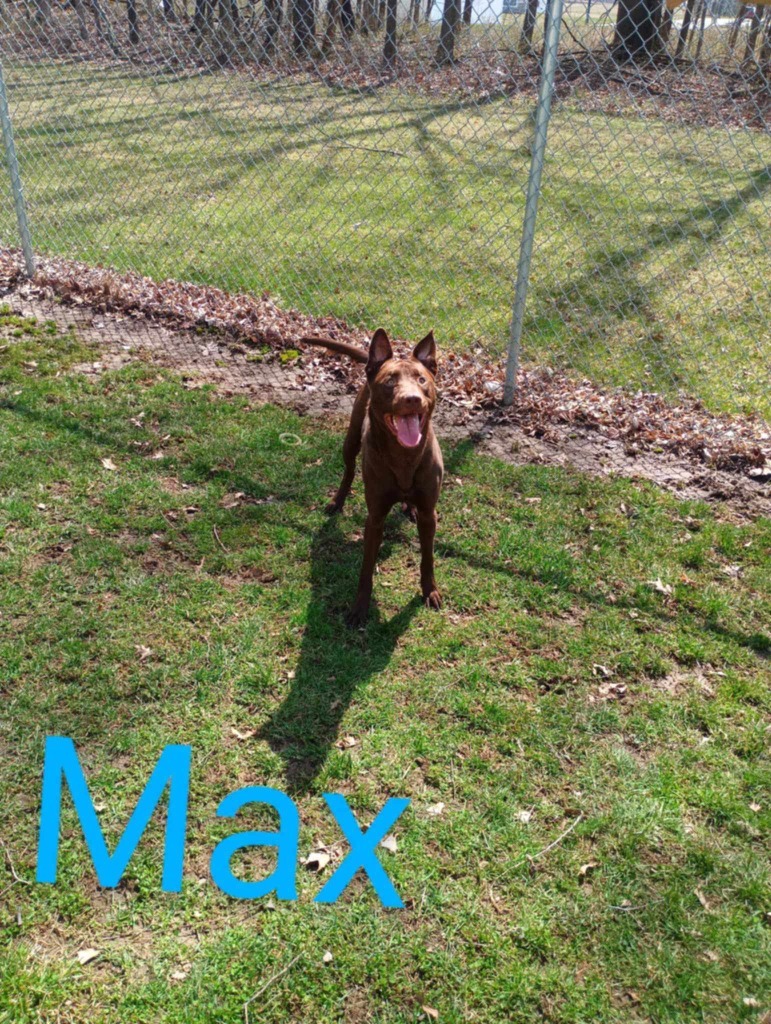 Max