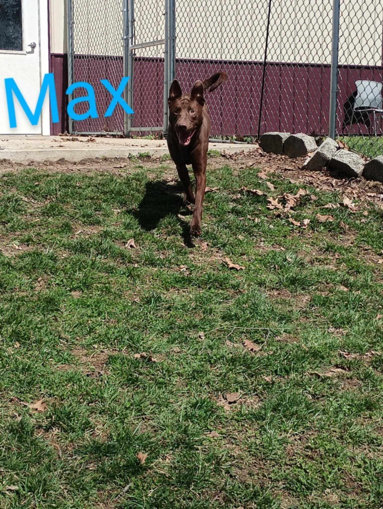 Max