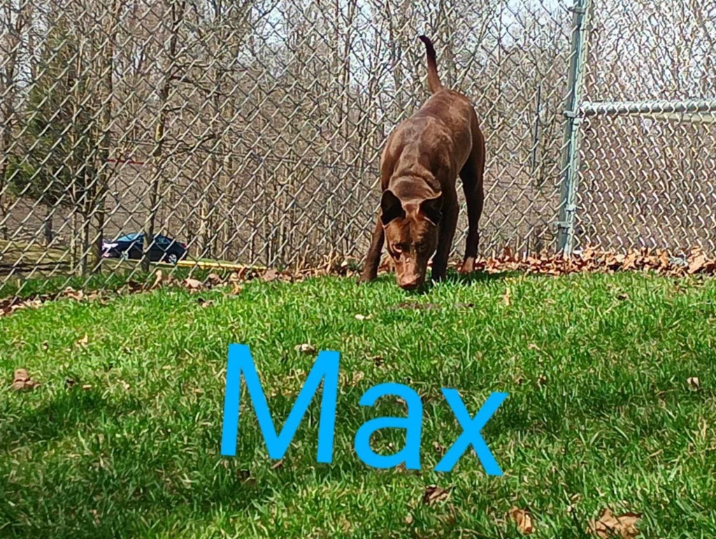 Max