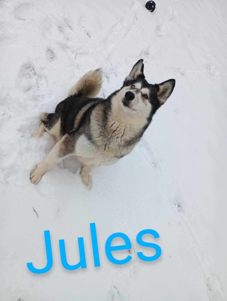 Jules