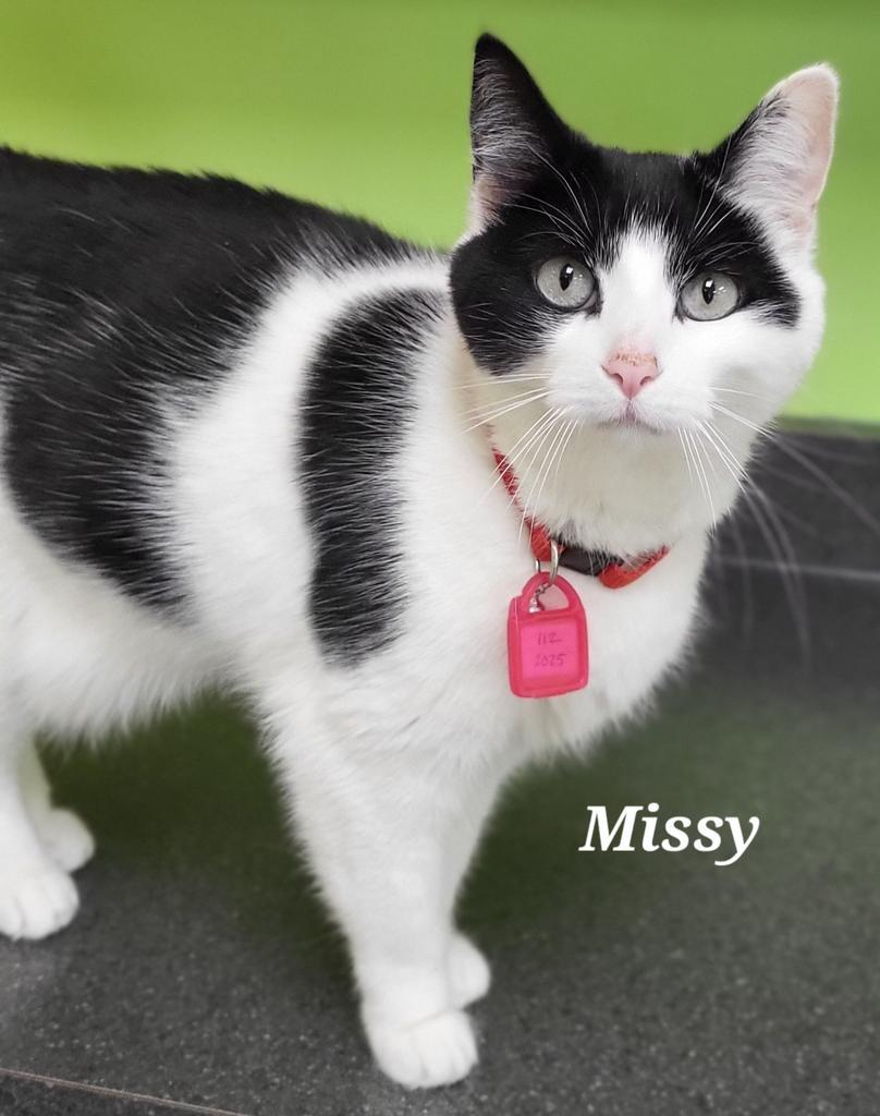 Missy