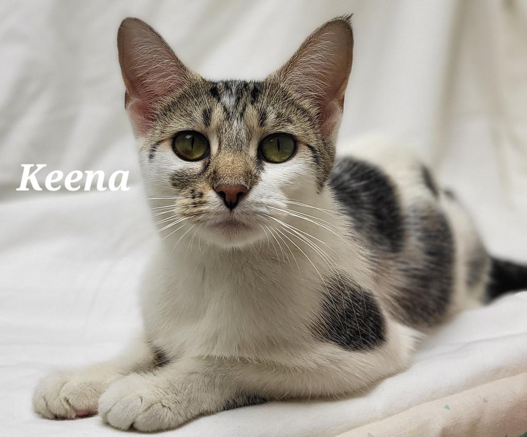 Keena