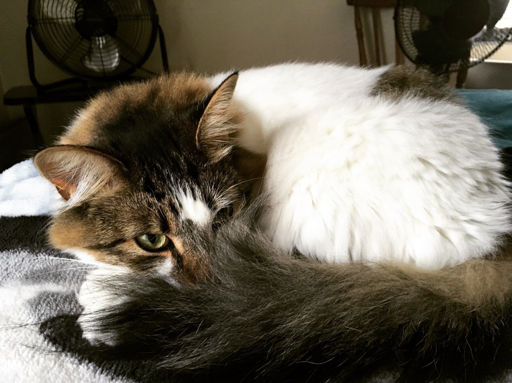 Margo