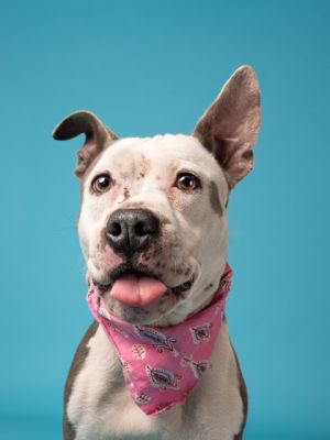 Meet Linda Belcher Linda Belcher is an absolute sweetheart with the cutest spotted lips and soulful