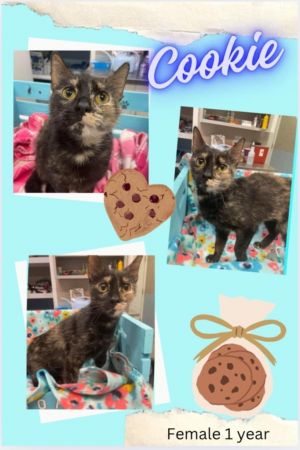 Cookie