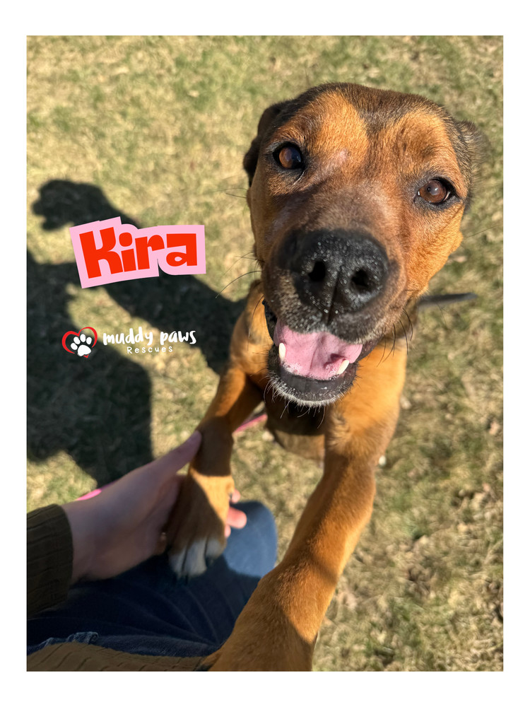 Kira