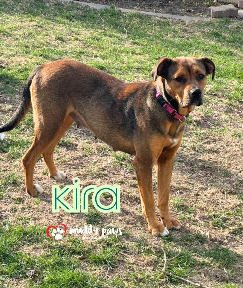 Kira