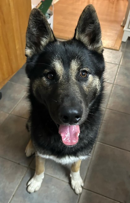 Perseus