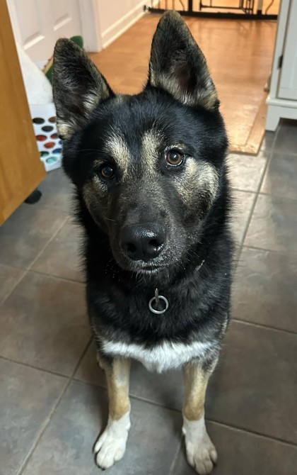 Perseus