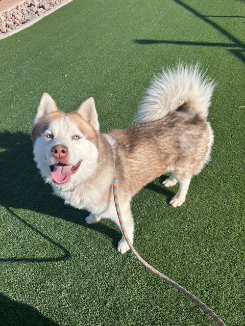 Zeus (Courtesy post)