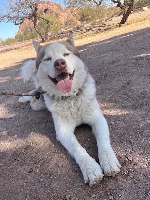 Zeus (Courtesy post)
