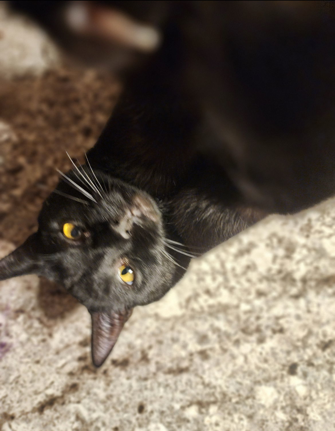 Benson