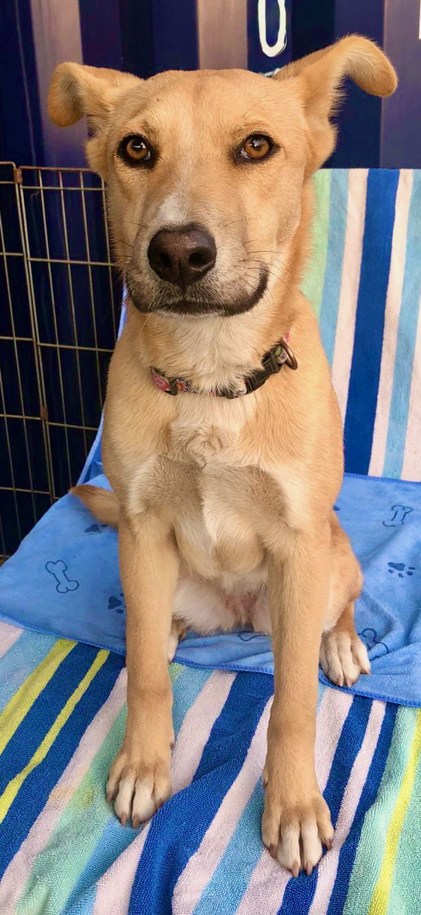 Bonnie