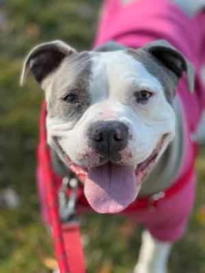 Laila is a lot of fun to be with She has a lot of charisma energy and motivation to do