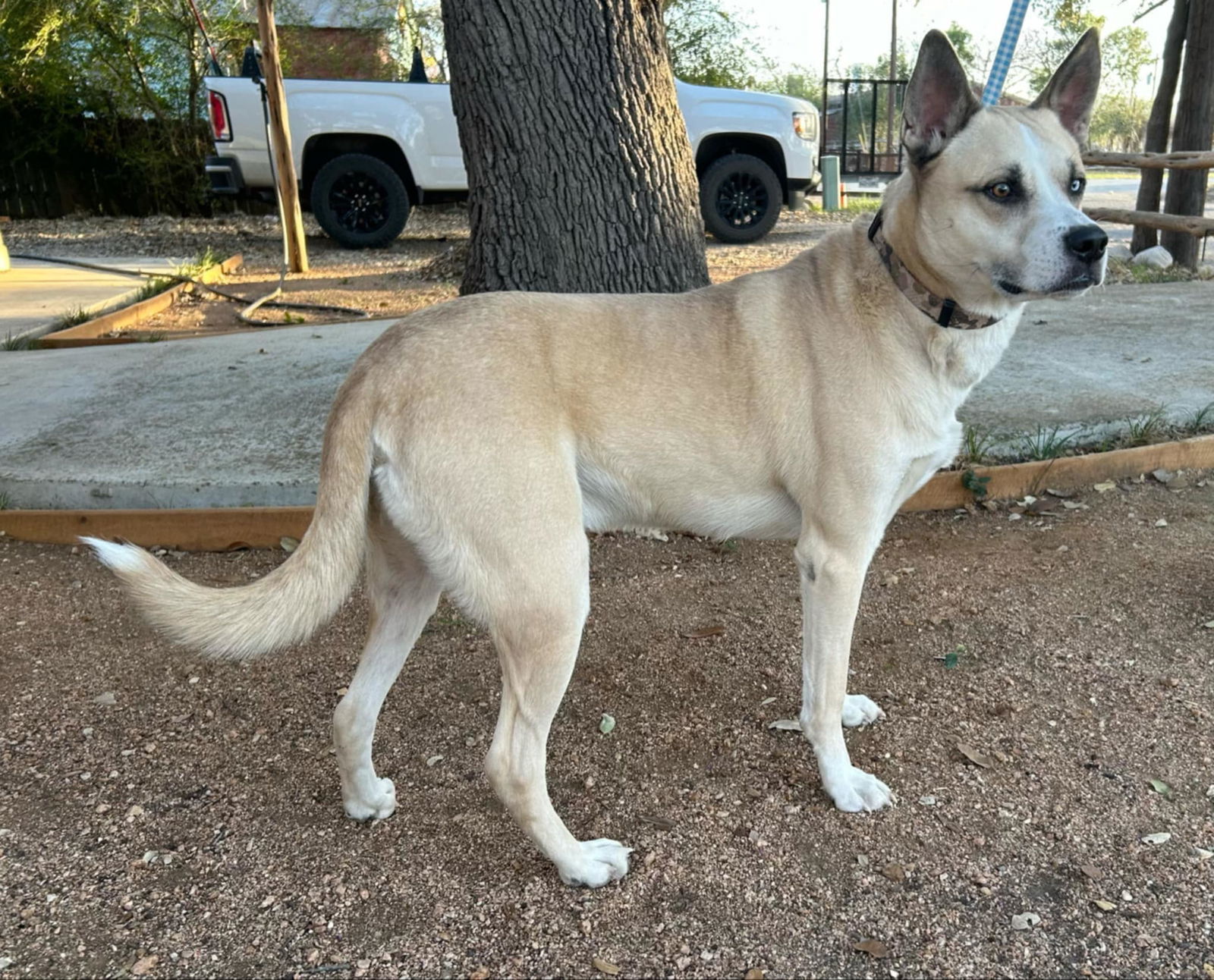 Kenai