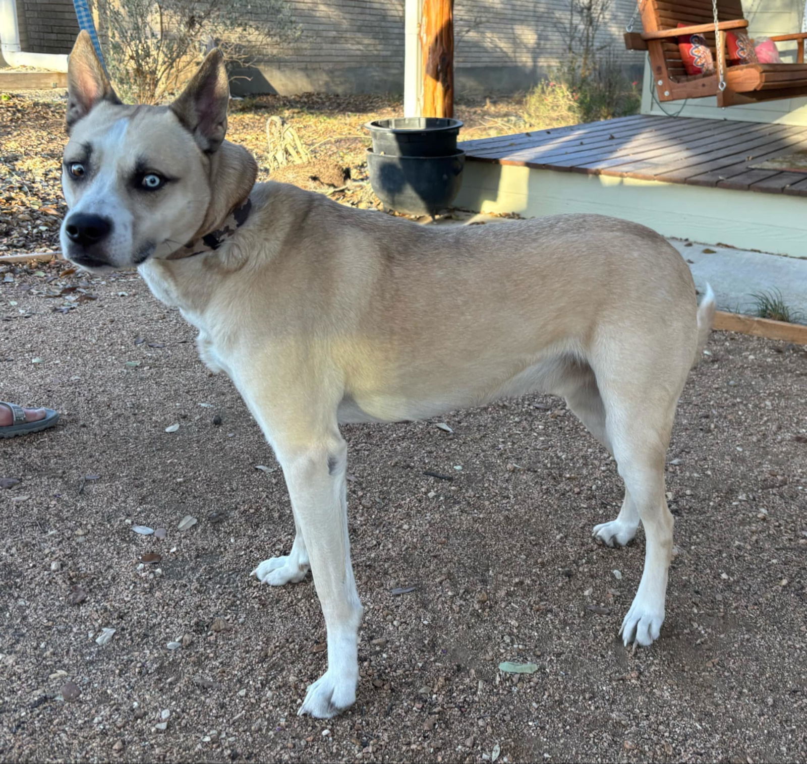 Kenai