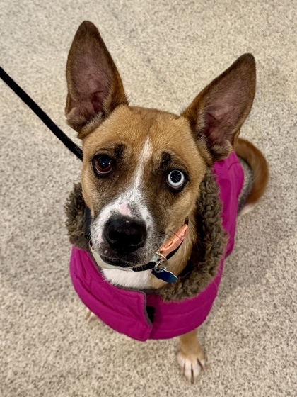 Hope *IN FOSTER*