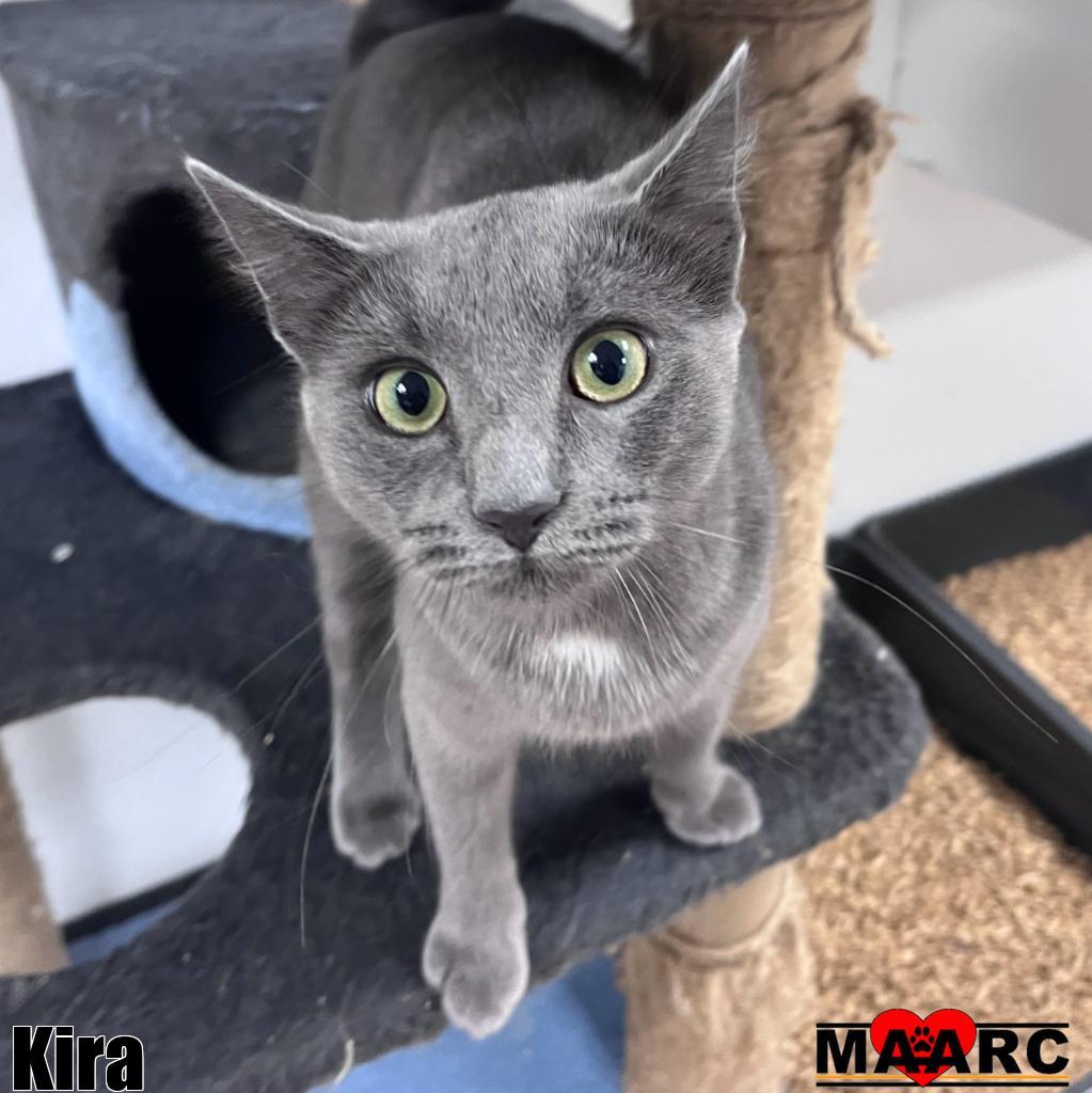 Kira