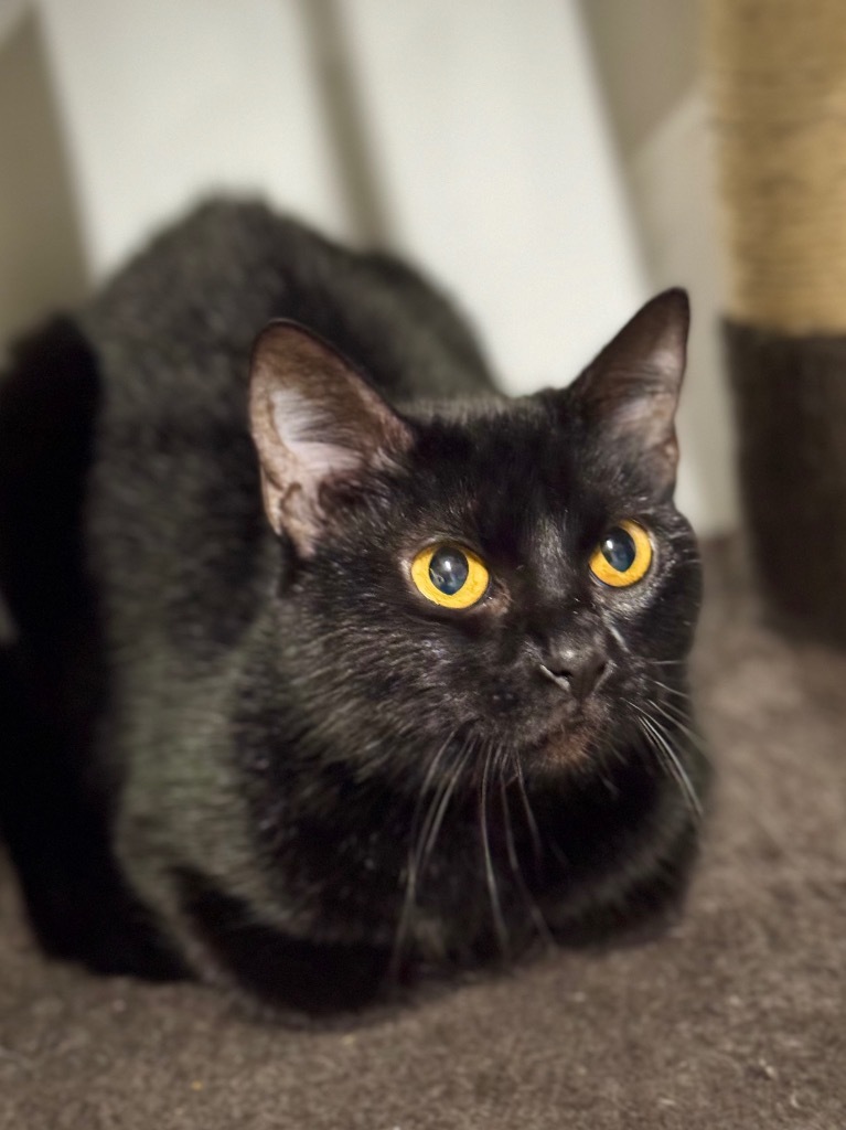 Precious