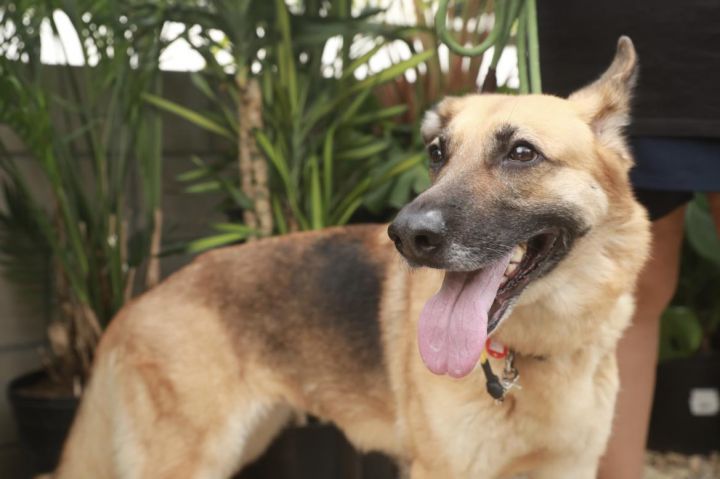 FRIDA 1