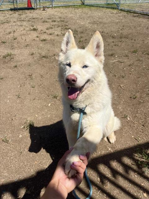 HODOR
