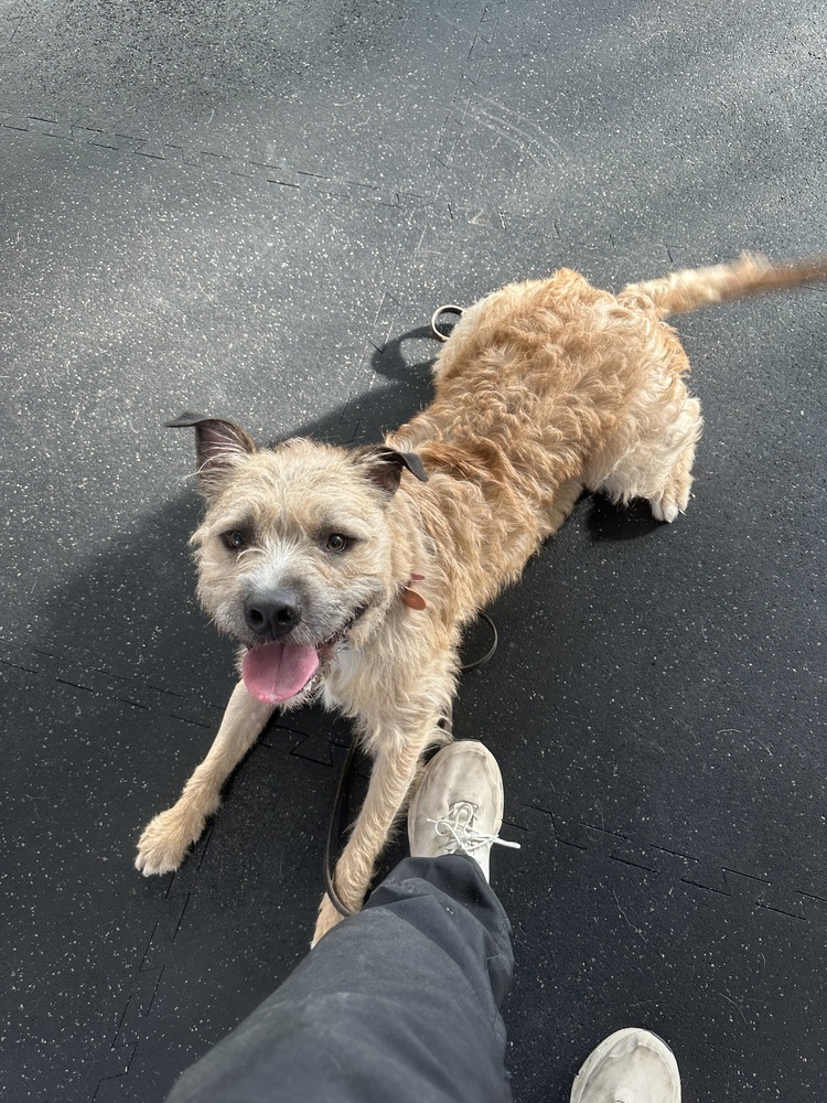 Nugget