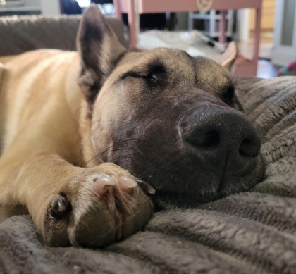 Sadie Mae
