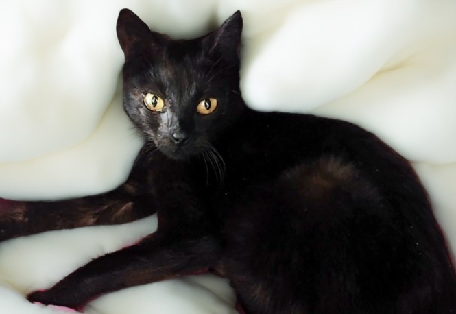 KIKI