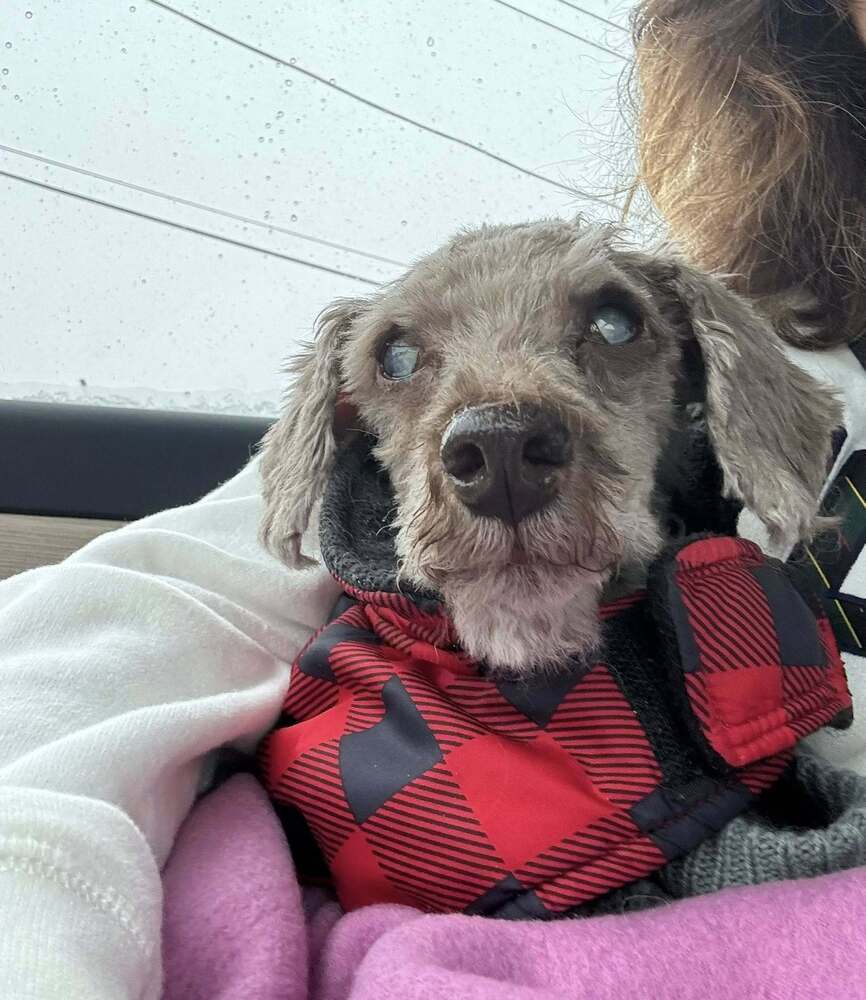 Sam