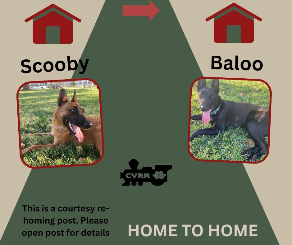 *Scooby & Baloo (Home to Home)