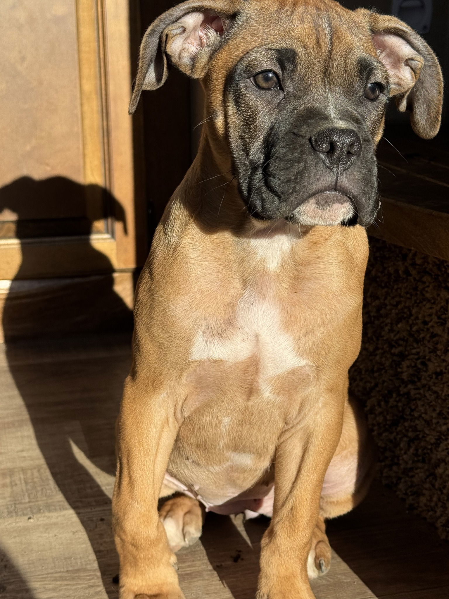 Winnie