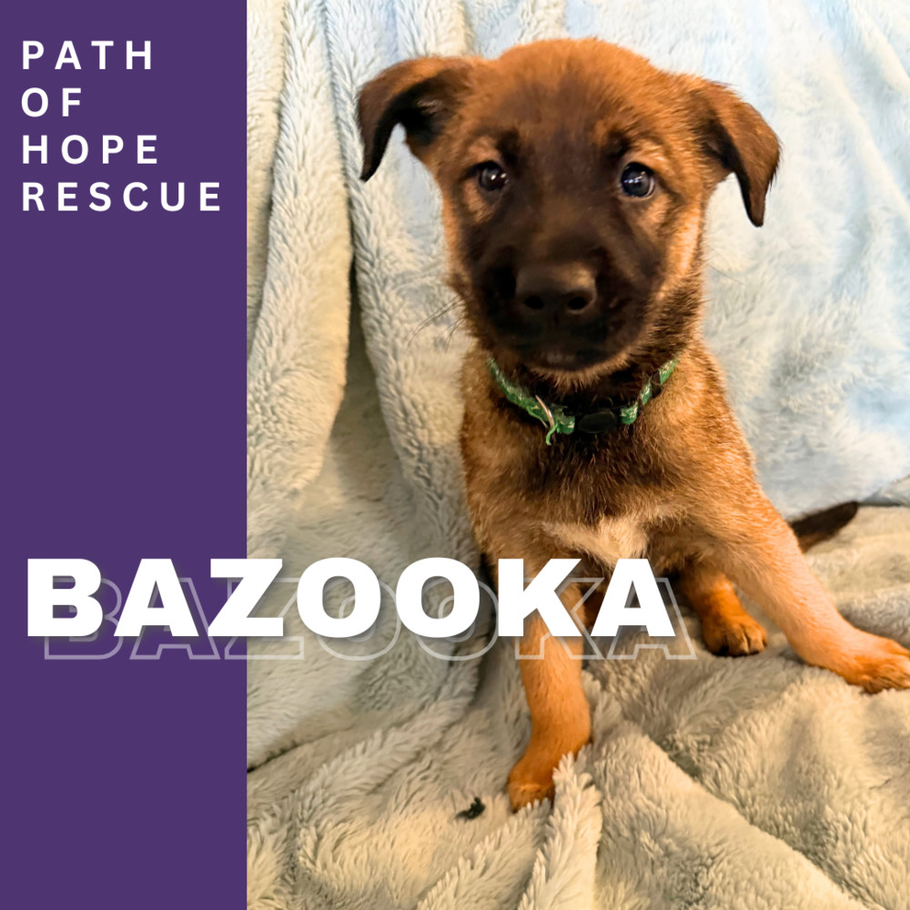 Bazooka