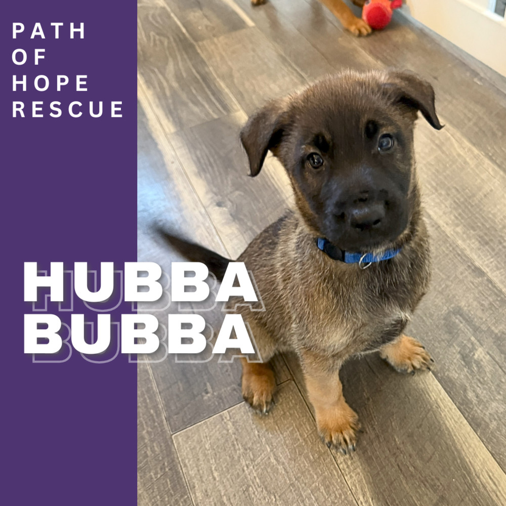 Hubba Bubba
